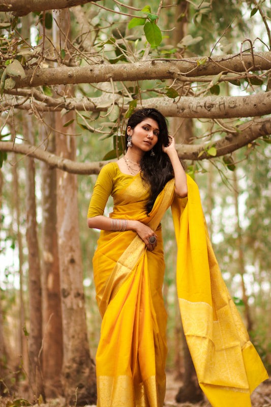 Mustard Benarasi Katan Warm Silk Saree