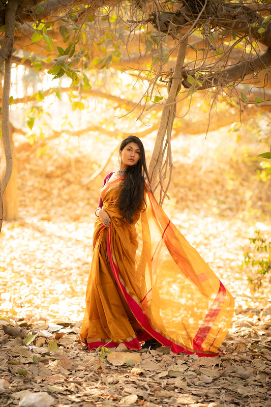 Honey Brown Maheshwari Silk Cotton Saree